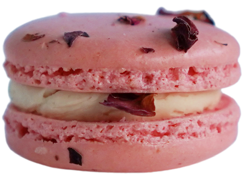 Wintermelon Rose
